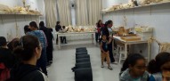 Laboratório de osteologia