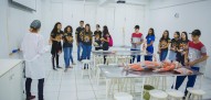 Unipar Aberta Guaíra