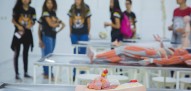 Unipar Aberta Guaíra