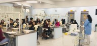 Odontologia