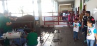 Acompanhando o tratamento na clínica de grandes animais