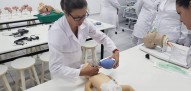 Experiências profissionais do enfermeiro