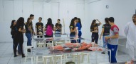 Unipar Aberta Guaíra