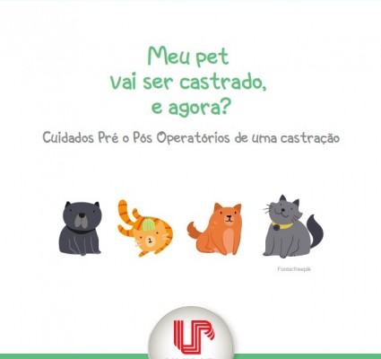 Meu pet vai ser castrado, e agora?